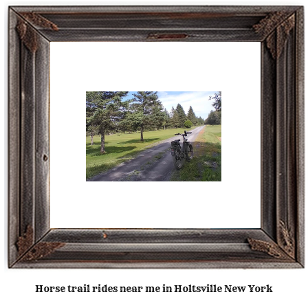 horse trail rides near me in Holtsville, New York